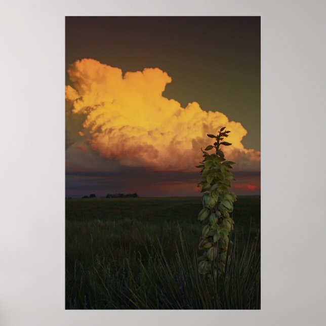 Póster Wyoming (Frente)