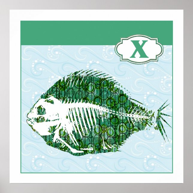 Poster X é para peixes de raios X (Frente)