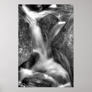 Póster X fluxo