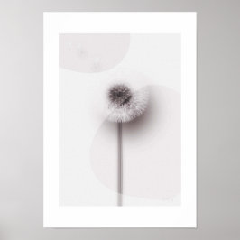 Poster X-ray Botanical Art - Dandelion