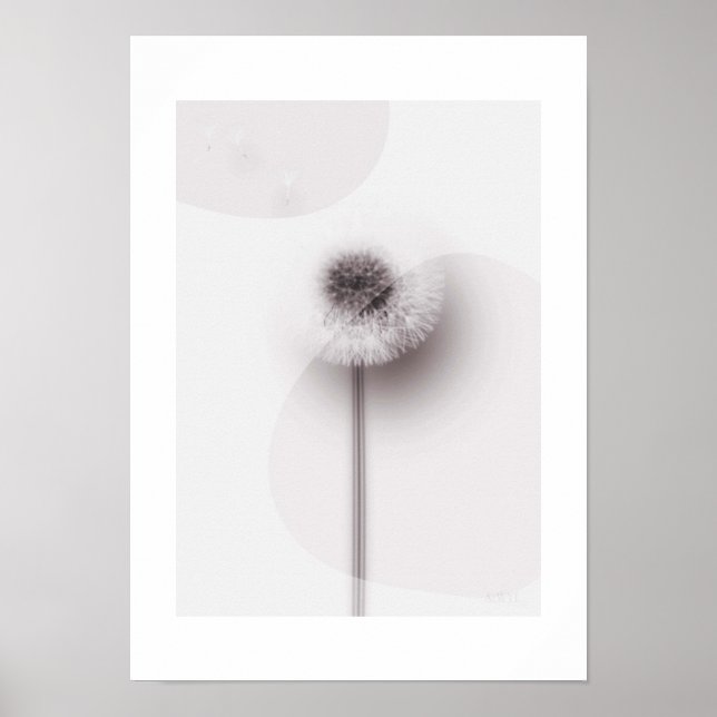 Poster X-ray Botanical Art - Dandelion (Frente)