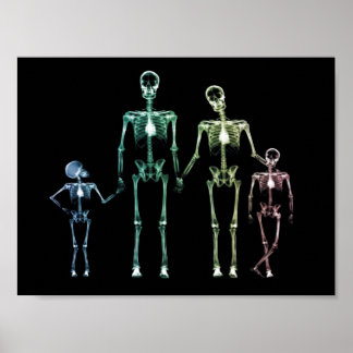 Póster X-Ray My Family