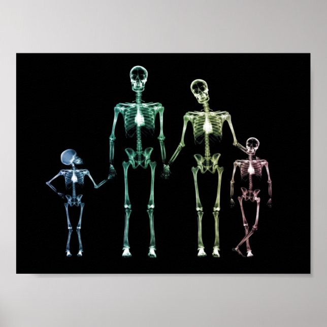 Póster X-Ray My Family (Frente)