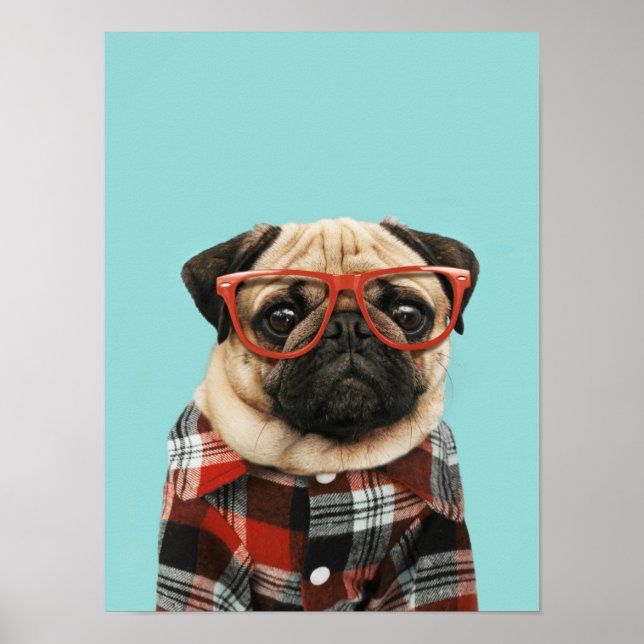 Poster Xadrez Shirt Pug (Frente)