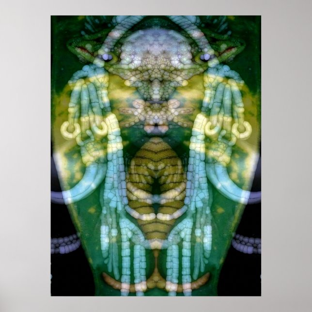 Poster Xamã Reptiliano 3 (Frente)
