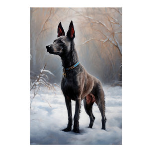 Póster Xoloitzcuintli Deixa-o nevar no Natal