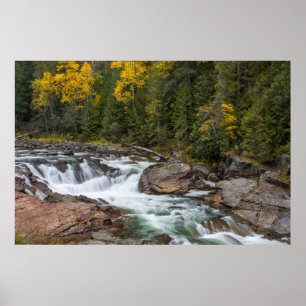 Poster Yaak Cai No Outono Do Nacional De Kootenai