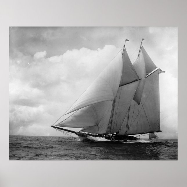 Poster Yacht America c1910 (Frente)