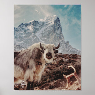 Poster Yakety Yak