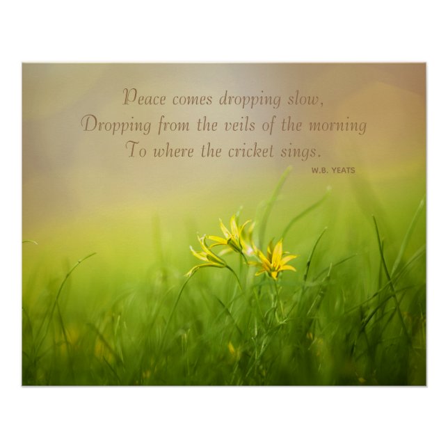 Póster Yeats Quote Morning Sunshine Poster (Frente)