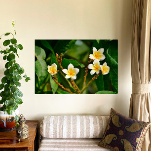 Póster Yellow Frangipani