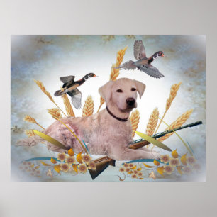 Poster Yellow Lab Hunts Ducks Print