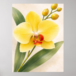 Poster Yellow Phalaenopsis Orchid Bloom Botanical