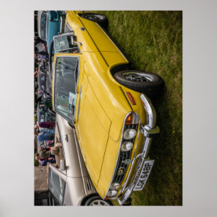 Poster Yellow Triumph Stag