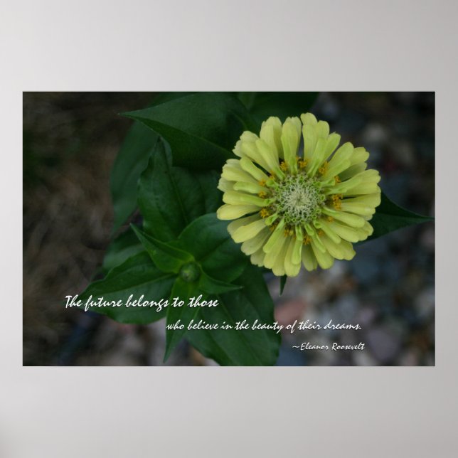 Póster Yellow Zinnia com citação de Eleanor Roosevelt (Frente)
