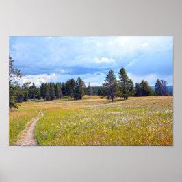 Poster Yellowstone National Park Meadow Trail