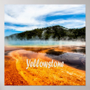 Poster Yellowstone National Park Monta Animais Naturais
