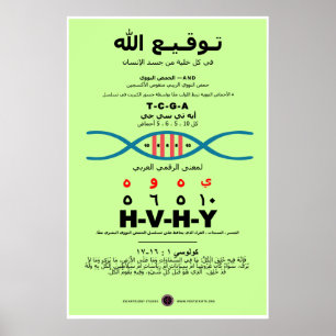 Poster YHVH no DNA - Árabe