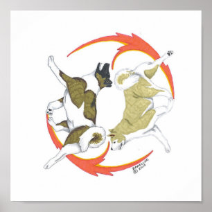 Poster yin e yang de akita