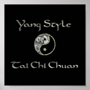Póster Yin Yang Chrome, Yang Style Chrome, tai chi chrome