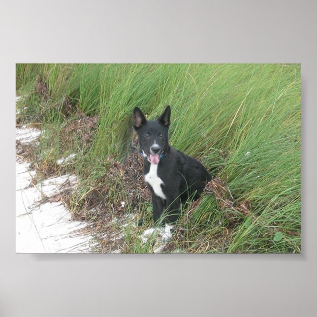 Póster Yoda (Frente)