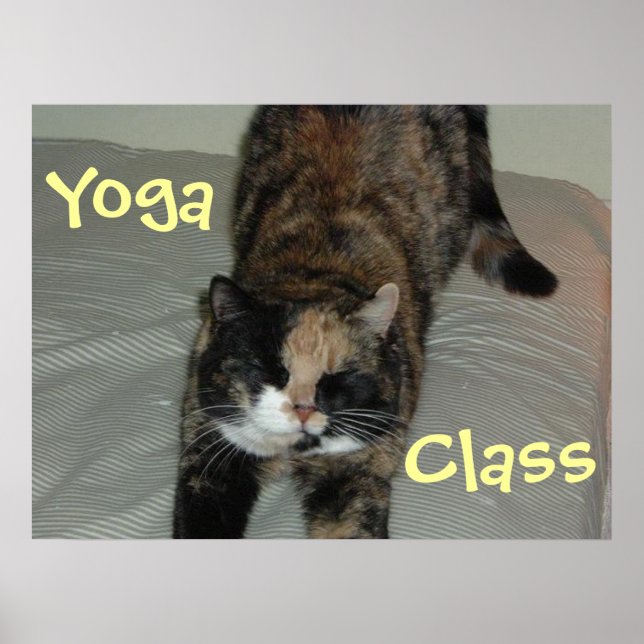 Póster Yoga Cat (Frente)