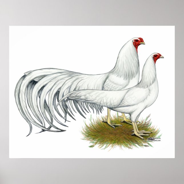 Póster Yokohama: Par Branco (Frente)