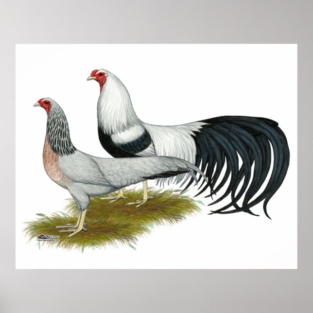 Poster Yokohama: Par de Duque de Prata (Frente)