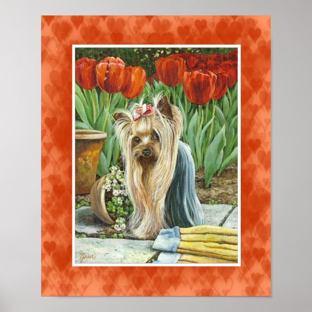 Póster Yorkie em Tulip Garden Canvas Print (Frente)