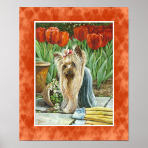 Póster Yorkie na tela Tulip Garden