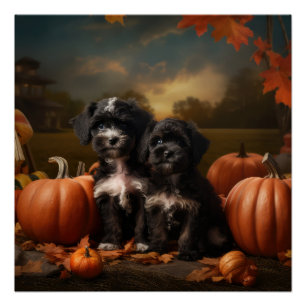 Póster Yorkipoo Puppy Autumn Delight Pumpkin