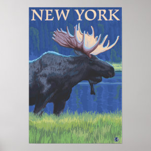 Poster YorkMoose novo no luar