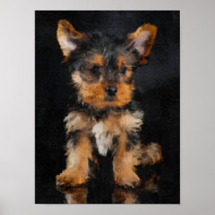 Poster Yorkshire Terrier