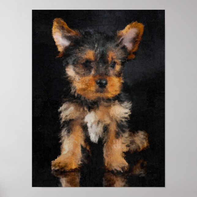 Poster Yorkshire Terrier (Frente)