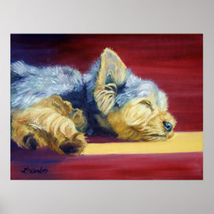 Poster Yorkshire Terrier