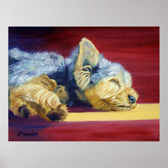 Poster Yorkshire Terrier (Frente)