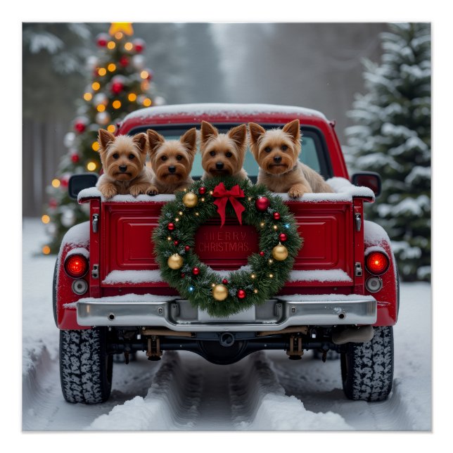 Póster Yorkshire Terrier Christmas Red Truck Holiday Gift (Frente)