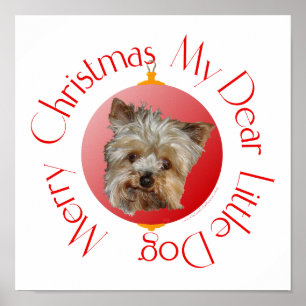 Poster Yorkshire Terrier de Natal