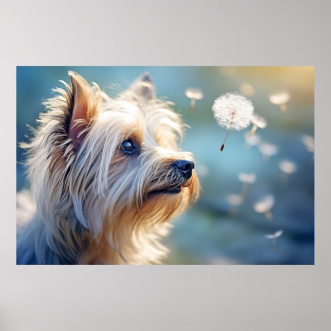 Poster Yorkshire Terrier Dog Pet Animal (Frente)
