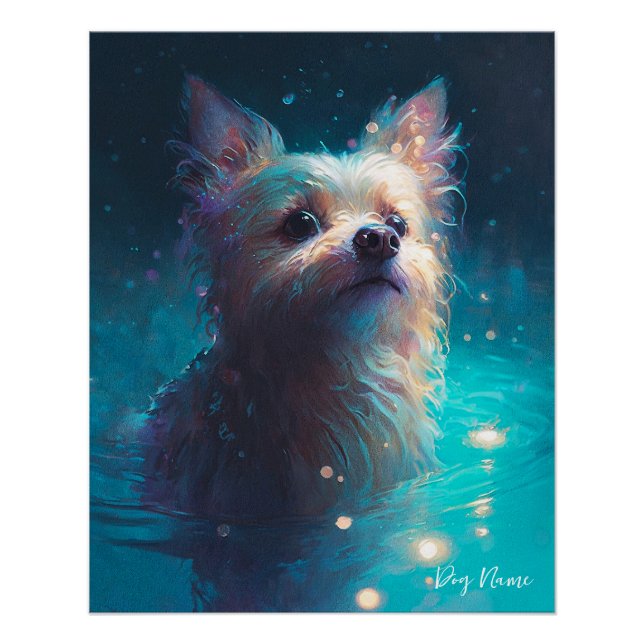 Póster Yorkshire Terrier dog swimming in water 005 (Frente)