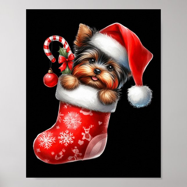 Poster Yorkshire Terrier em Sock Natal Santa Hat Xmas (Frente)