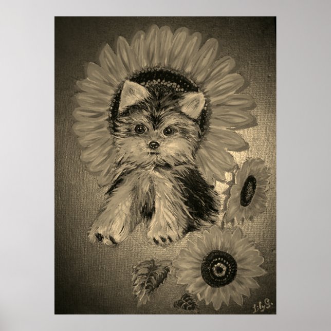 Poster Yorkshire Terrier Fofo com Girassóis (Frente)