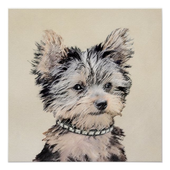 Póster Yorkshire Terrier Puppy Pintura Original (Frente)