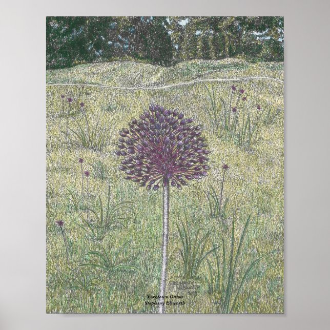 Póster Yorktown Onion (Frente)