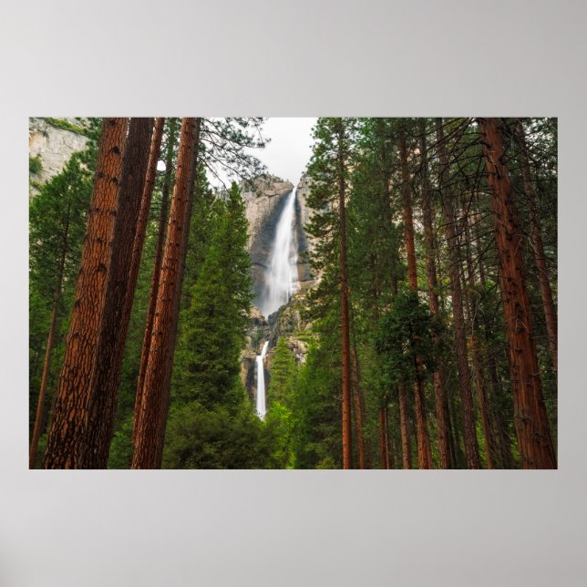 Poster Yosemite cai pela floresta (Frente)