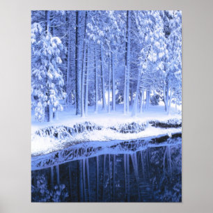 Póster YOSEMITE NATIONAL PARK, CALIFÓRNIA. EUA. Fresco