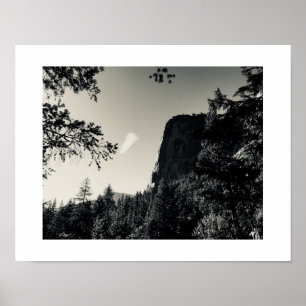 Poster Yosemite Treeview preto e branco