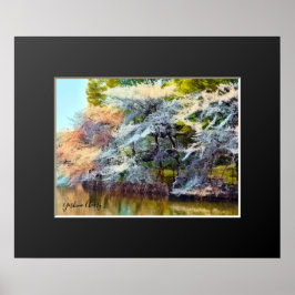 Poster Yoshino Cherry