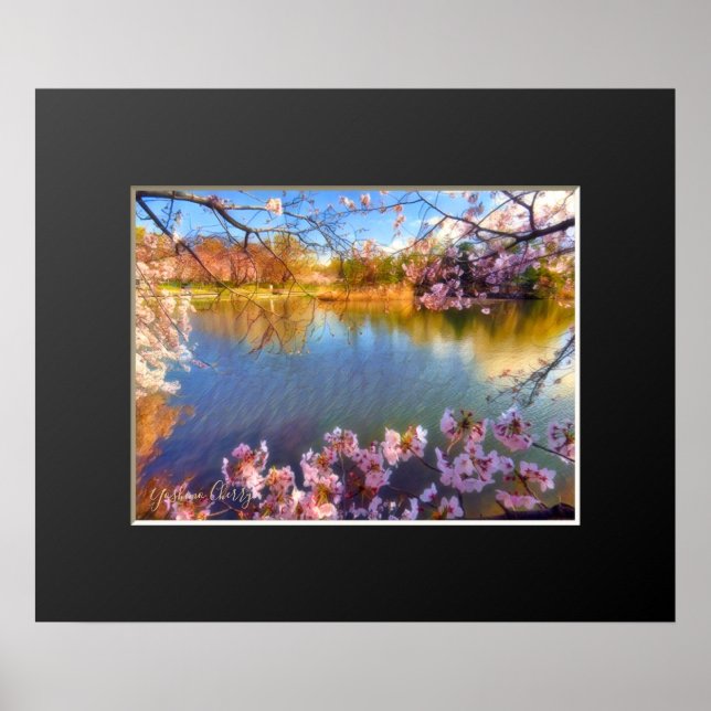 Poster Yoshino Cherry ポスター (Frente)