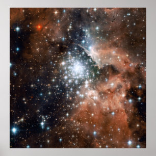 Póster Young Cluster NGC3603